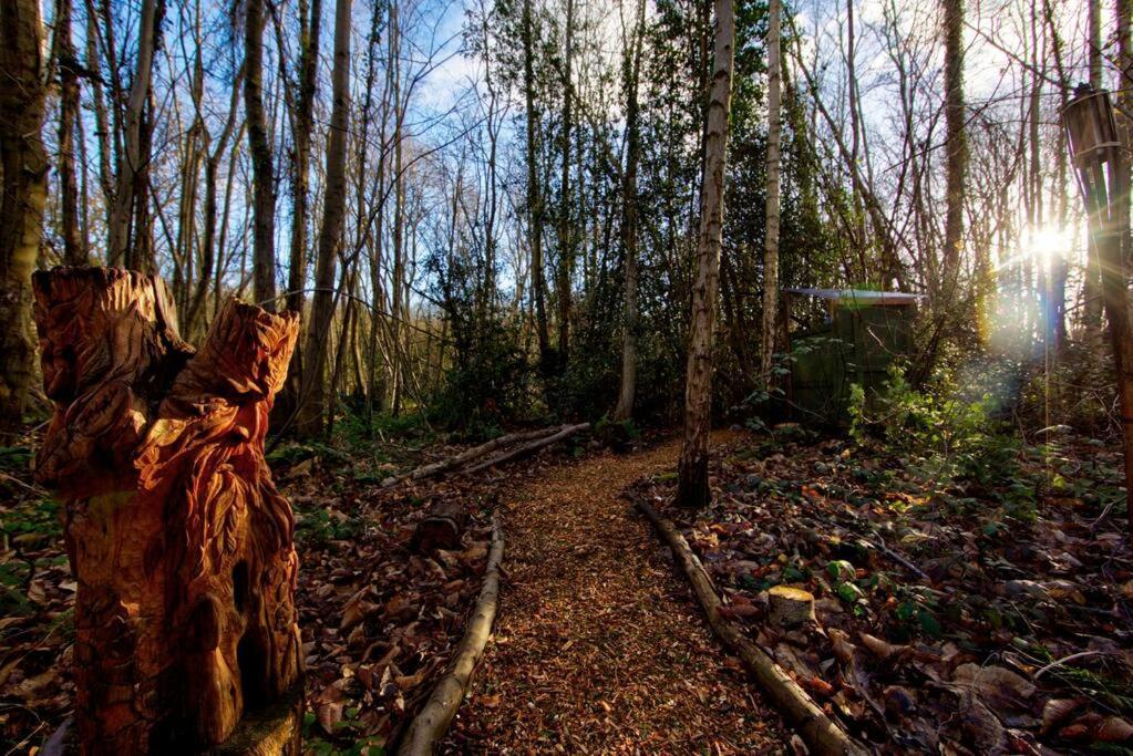 Cosy Woodland Romantic Retreat With Log Fires And Nature Sturry エクステリア 写真