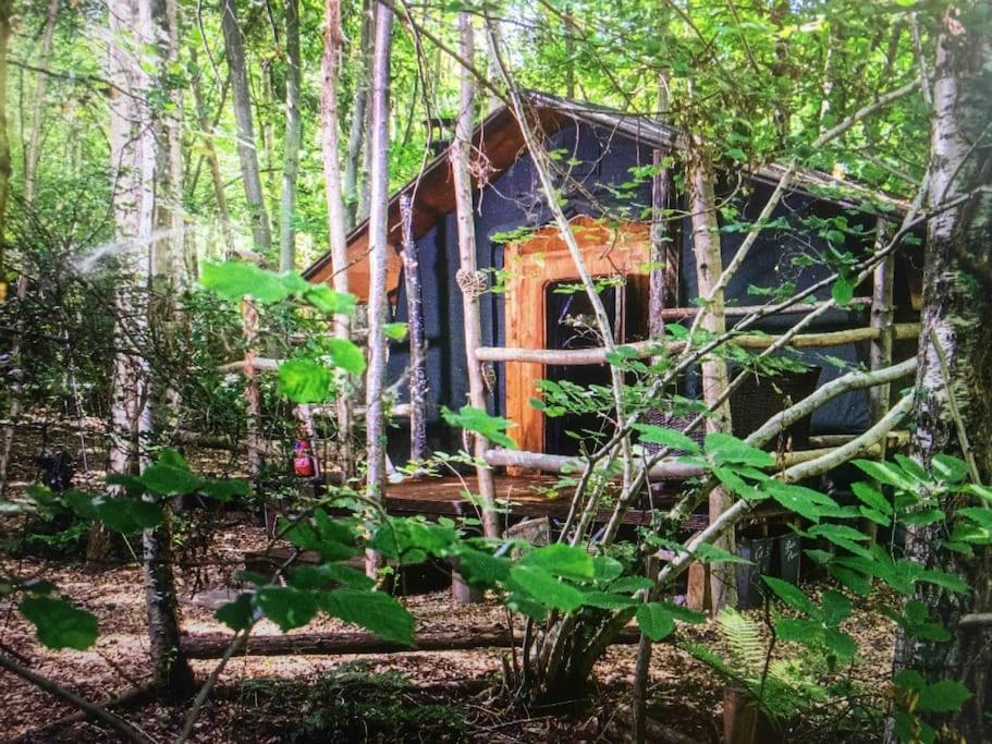 Cosy Woodland Romantic Retreat With Log Fires And Nature Sturry エクステリア 写真