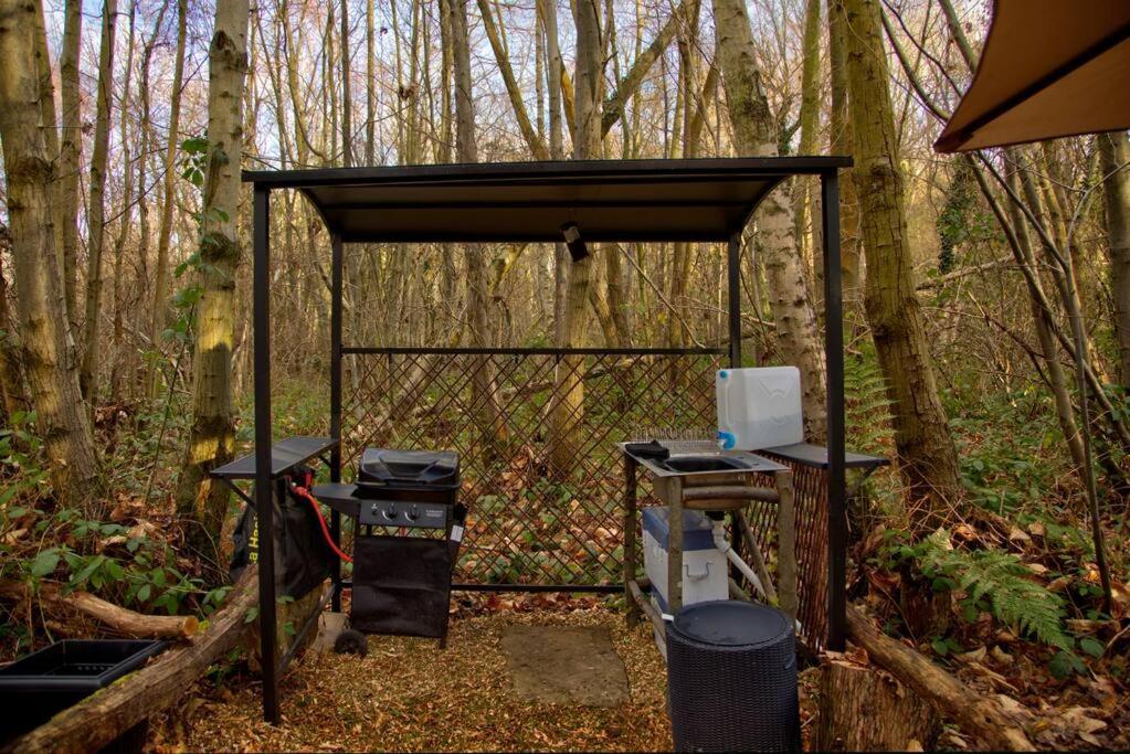Cosy Woodland Romantic Retreat With Log Fires And Nature Sturry エクステリア 写真