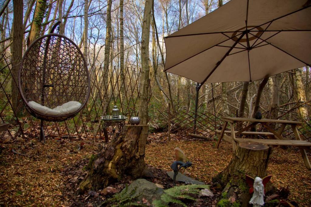 Cosy Woodland Romantic Retreat With Log Fires And Nature Sturry エクステリア 写真