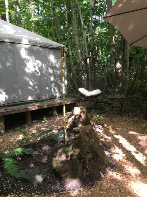 Cosy Woodland Romantic Retreat With Log Fires And Nature Sturry エクステリア 写真