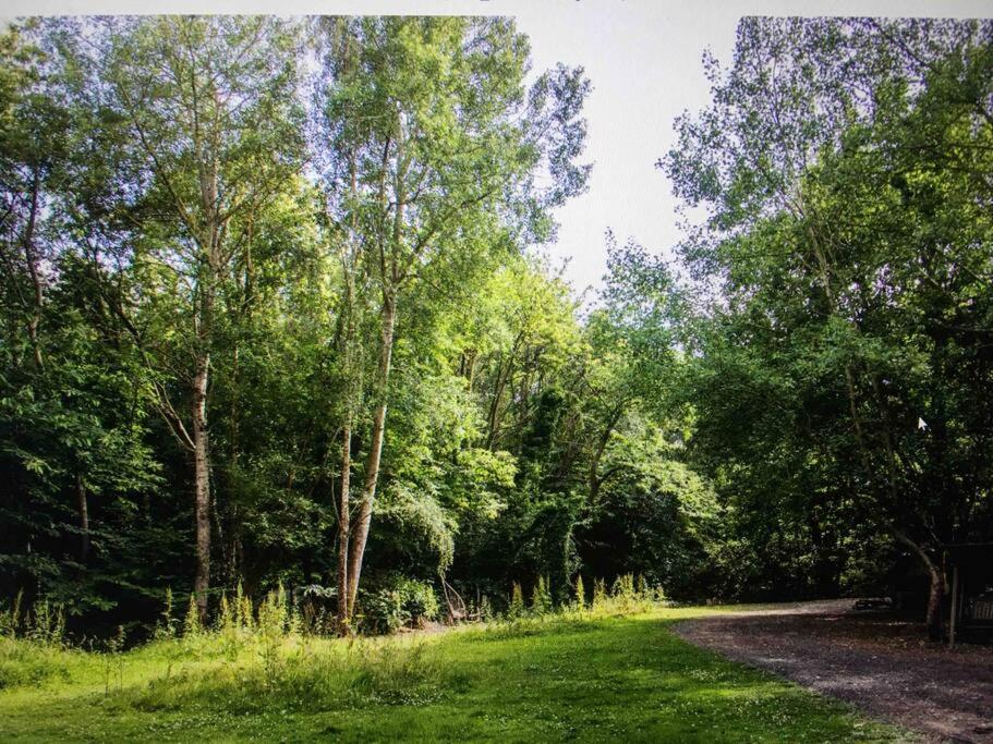 Cosy Woodland Romantic Retreat With Log Fires And Nature Sturry エクステリア 写真