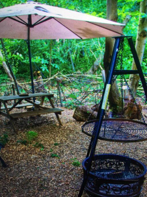 Cosy Woodland Romantic Retreat With Log Fires And Nature Sturry エクステリア 写真