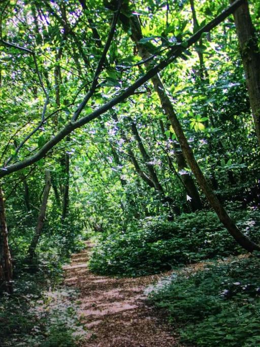 Cosy Woodland Romantic Retreat With Log Fires And Nature Sturry エクステリア 写真