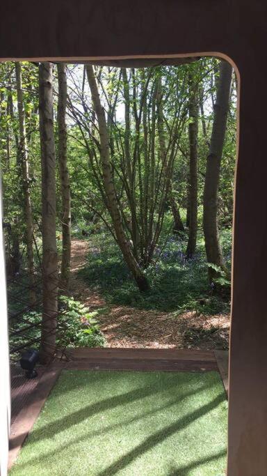 Cosy Woodland Romantic Retreat With Log Fires And Nature Sturry エクステリア 写真