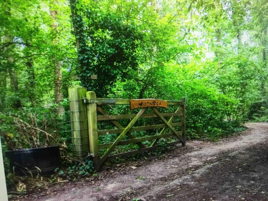 Cosy Woodland Romantic Retreat With Log Fires And Nature Sturry エクステリア 写真