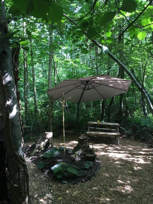 Cosy Woodland Romantic Retreat With Log Fires And Nature Sturry エクステリア 写真