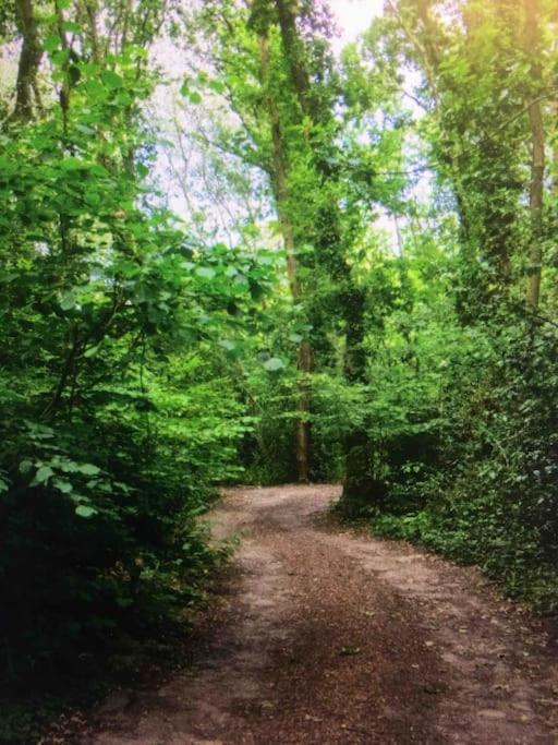 Cosy Woodland Romantic Retreat With Log Fires And Nature Sturry エクステリア 写真