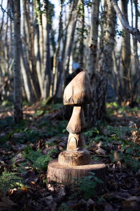 Cosy Woodland Romantic Retreat With Log Fires And Nature Sturry エクステリア 写真