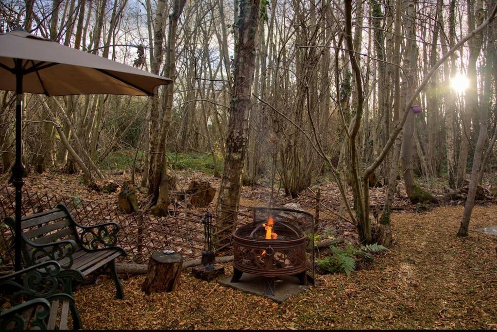 Cosy Woodland Romantic Retreat With Log Fires And Nature Sturry エクステリア 写真