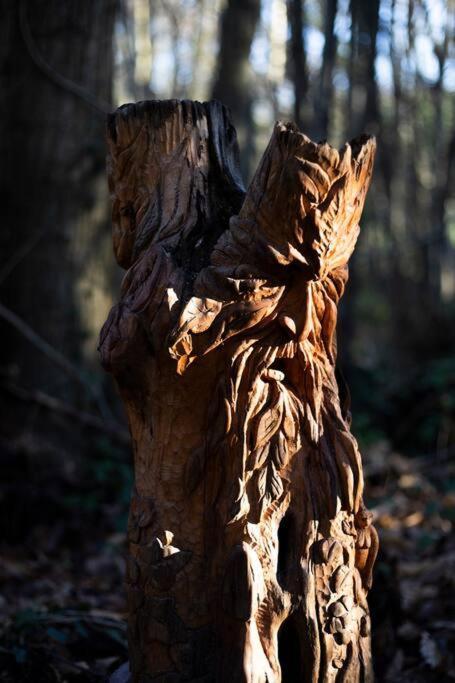 Cosy Woodland Romantic Retreat With Log Fires And Nature Sturry エクステリア 写真