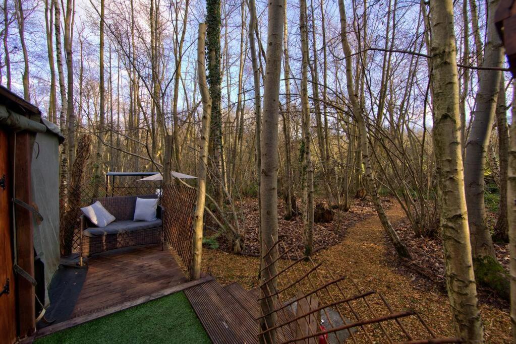 Cosy Woodland Romantic Retreat With Log Fires And Nature Sturry エクステリア 写真