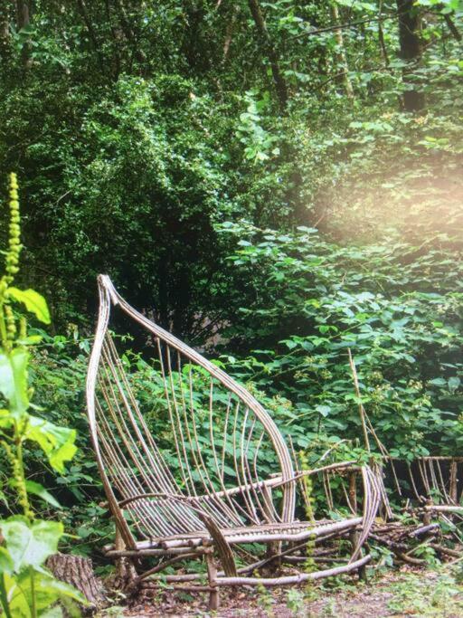 Cosy Woodland Romantic Retreat With Log Fires And Nature Sturry エクステリア 写真